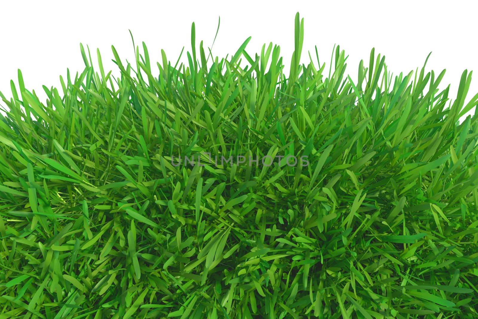 green grass nature. plants lawn. 3d rendering