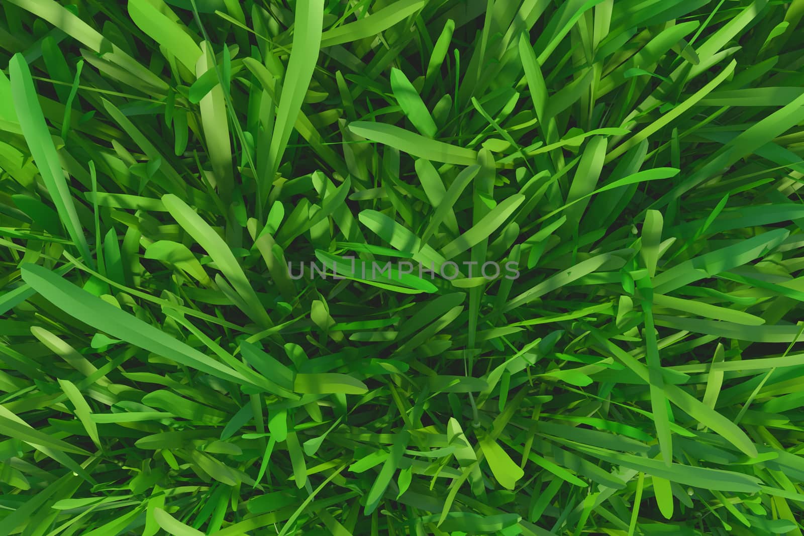 Green grass. background texture. by Mirexon