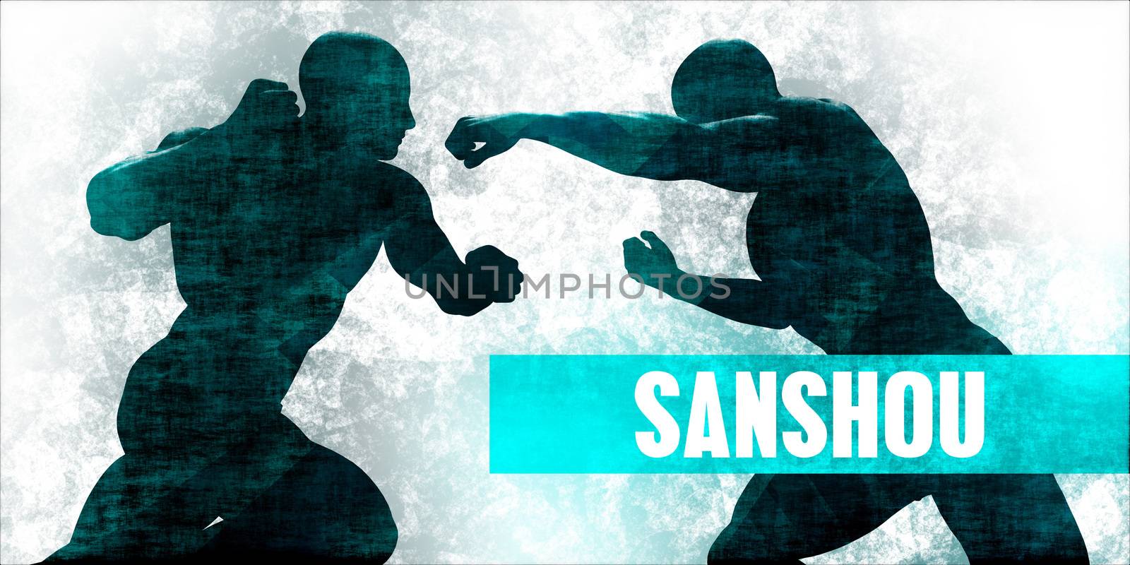 Sanshou Martial Arts Self Defence Training Concept