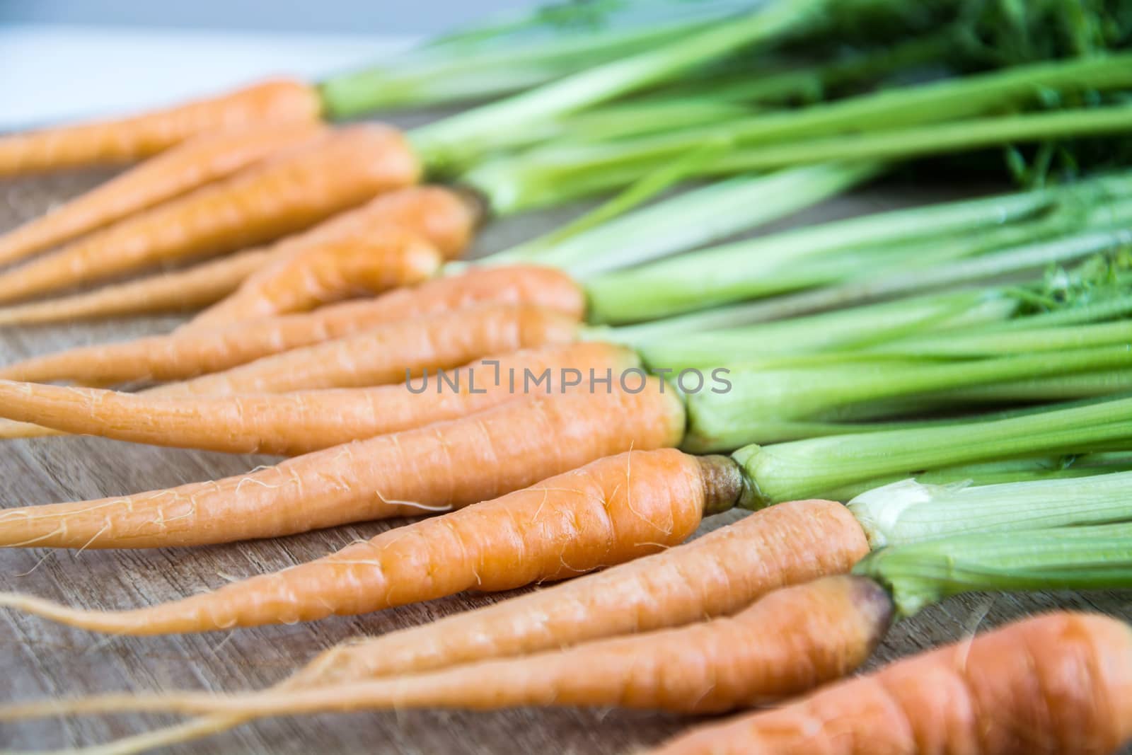 Fresh and sweet carrot on wooden table, Bunch of fresh carrots with green leaves over wooden background, Vegetable Food