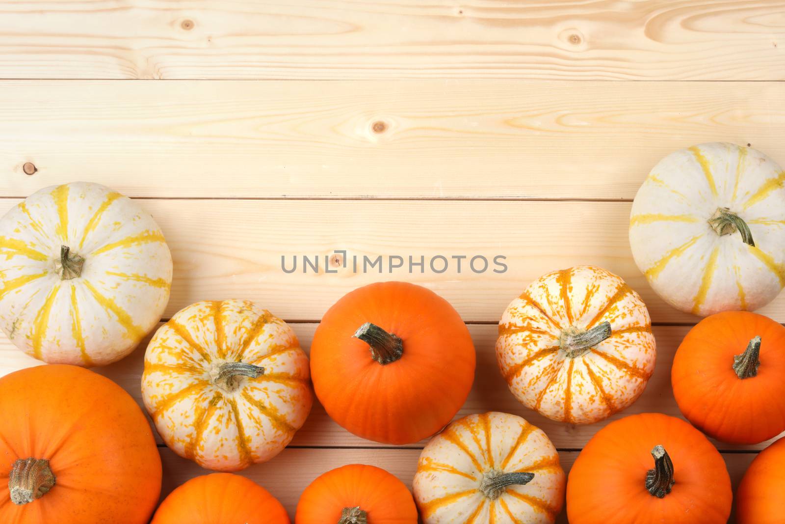 Many orange pumpkins on wooden background, autumn harvest, Halloween or Thanksgiving concept