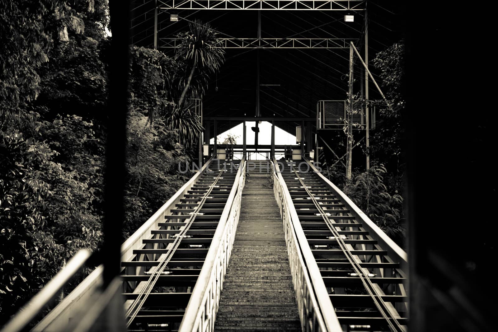 vintage railroad tracks by N_u_T