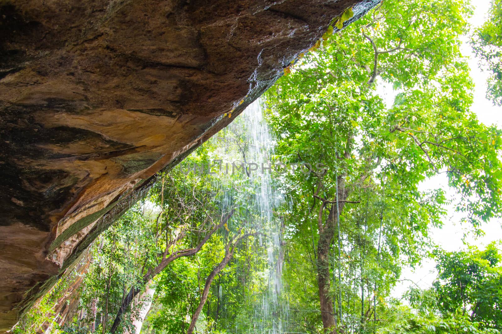 landscape waterfall on the rocks