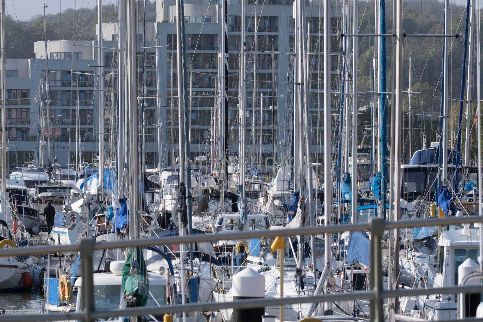 Yachts crowd a marina by riverheron_photos