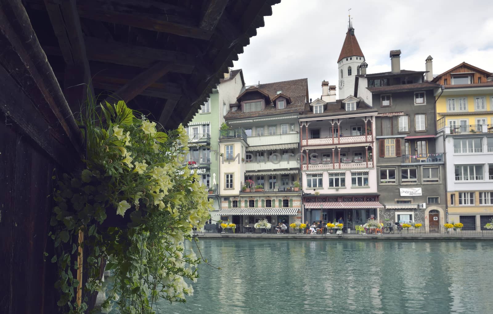 Thun city and river in Aare, Switzerland by jordachelr