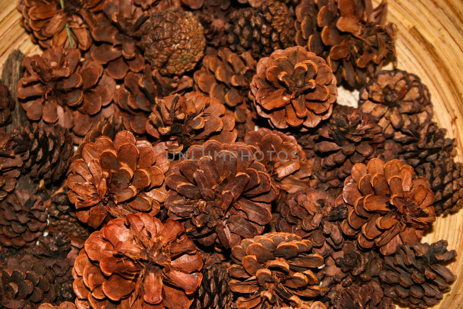 A group of pine cones in a wooden bowl
