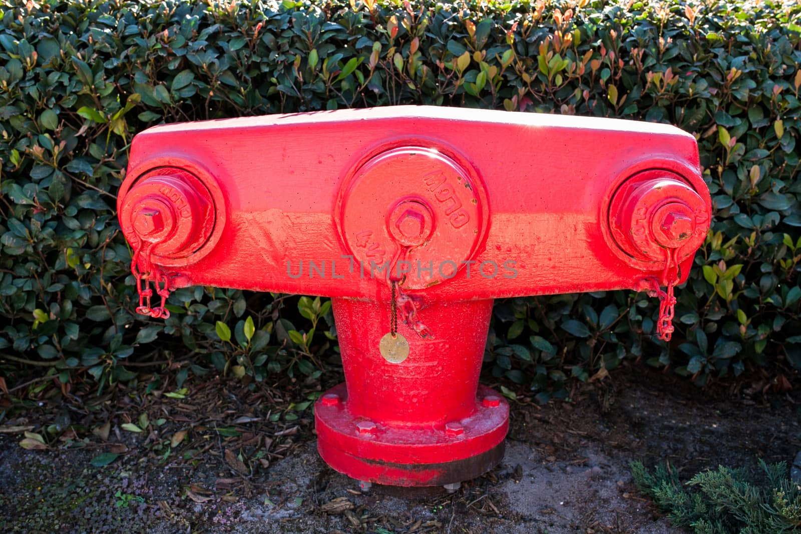 A red fire hydrant, an unusual shape
