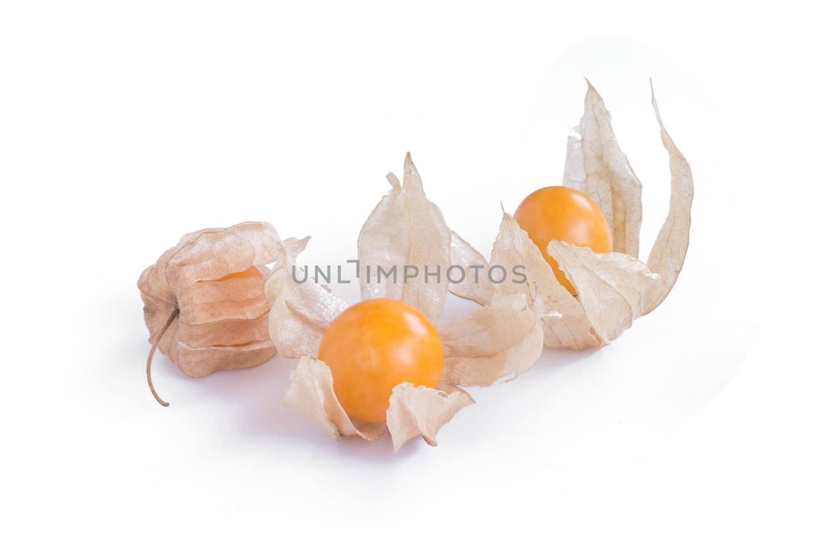 cape gooseberry (delicious physalis) fruit in close-up isolated on white background