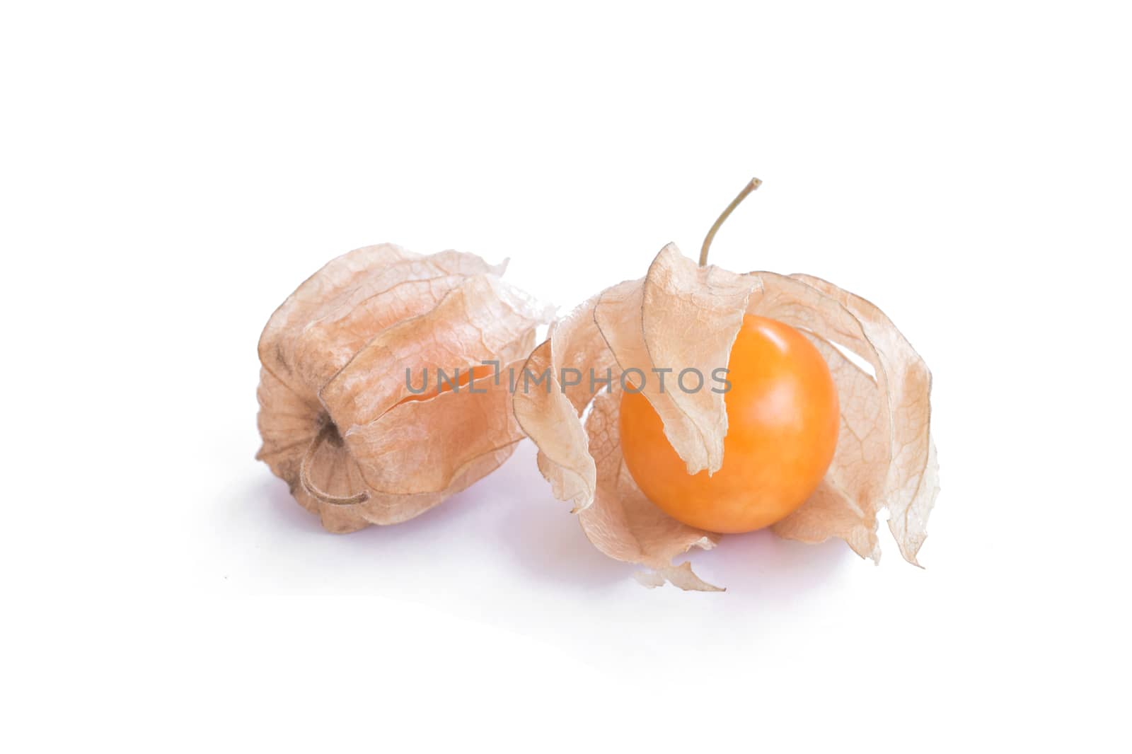 cape gooseberry (delicious physalis) fruit in close-up isolated on white background