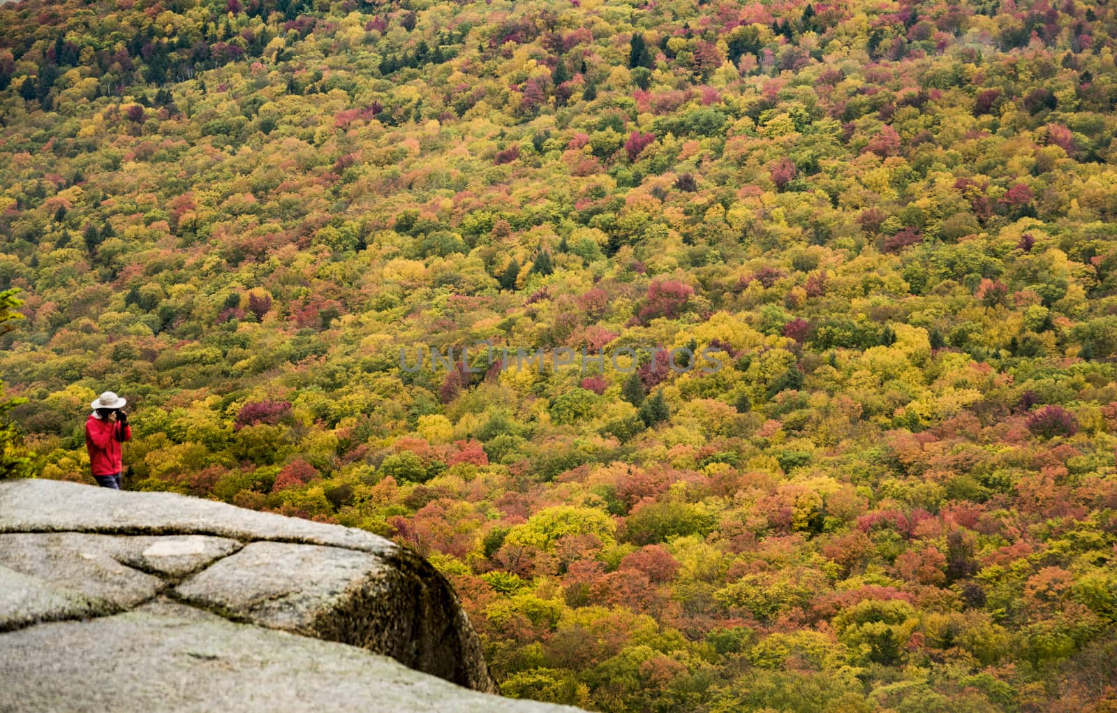 Beautiful fall foliage by edella