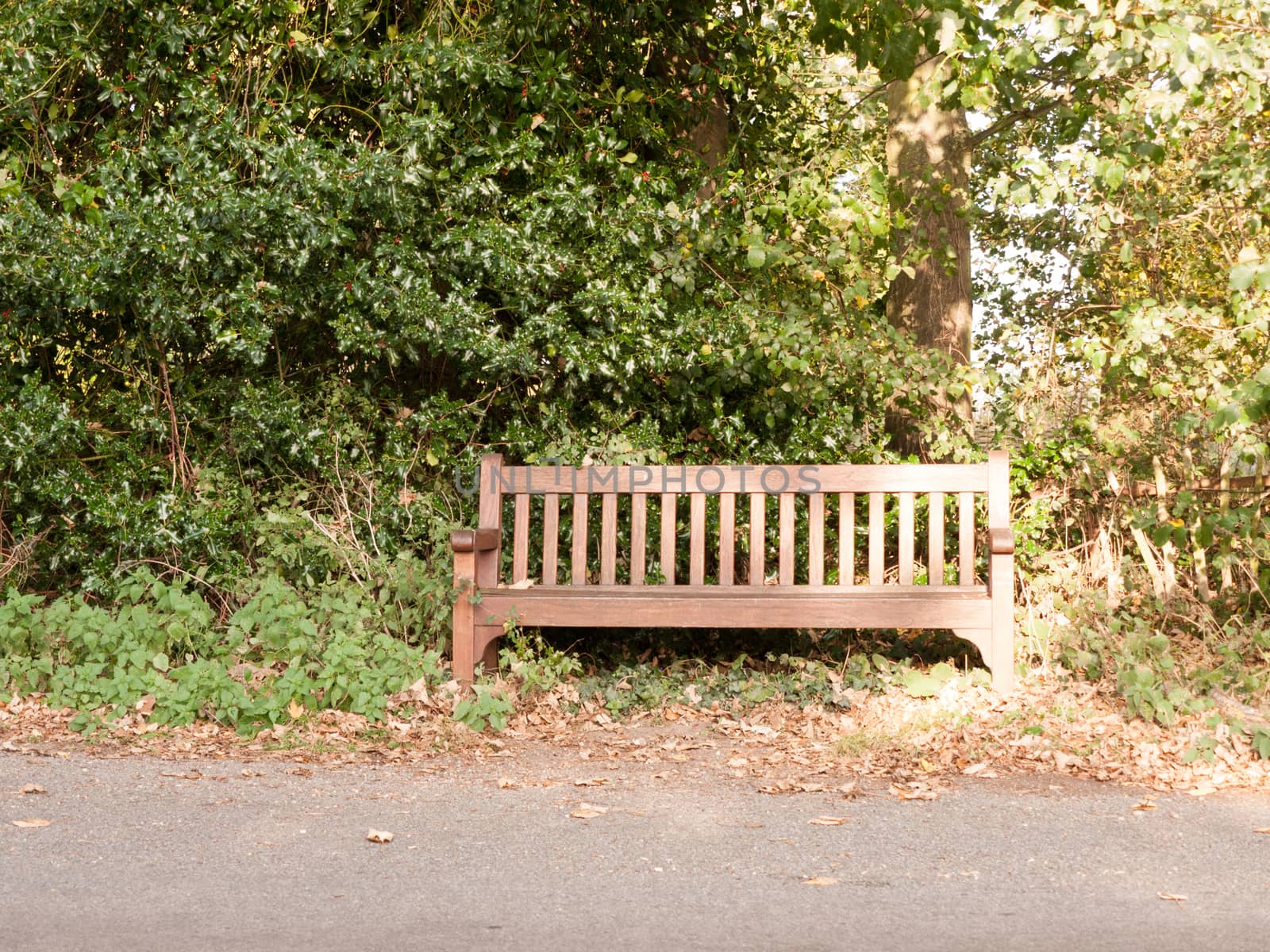 empty wooden park country bench in front of road and trees by callumrc