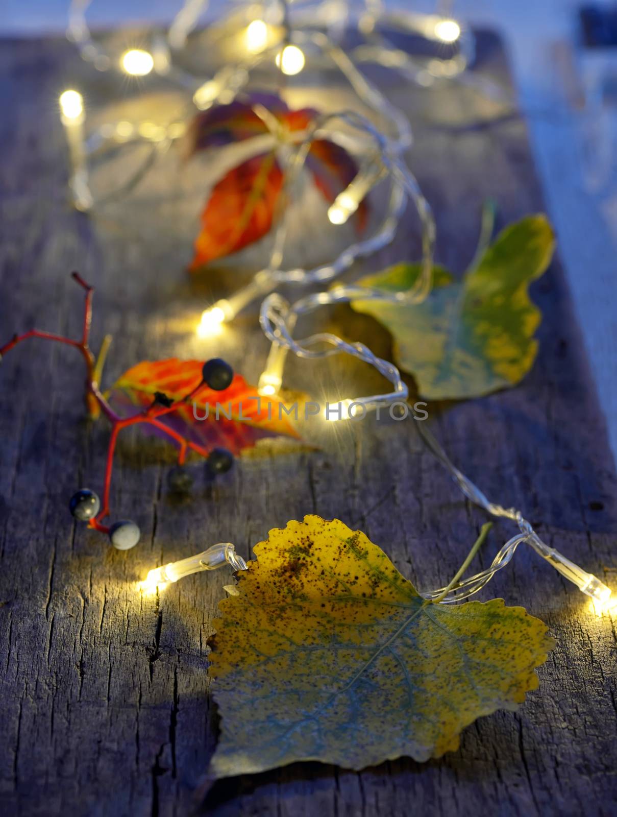 Autumn leaves on wooden board and christmas lights 