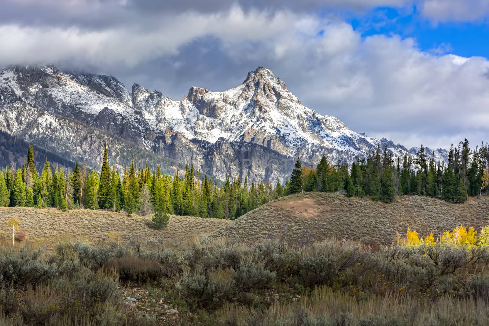 Scenic View of the Grand Teton National Park