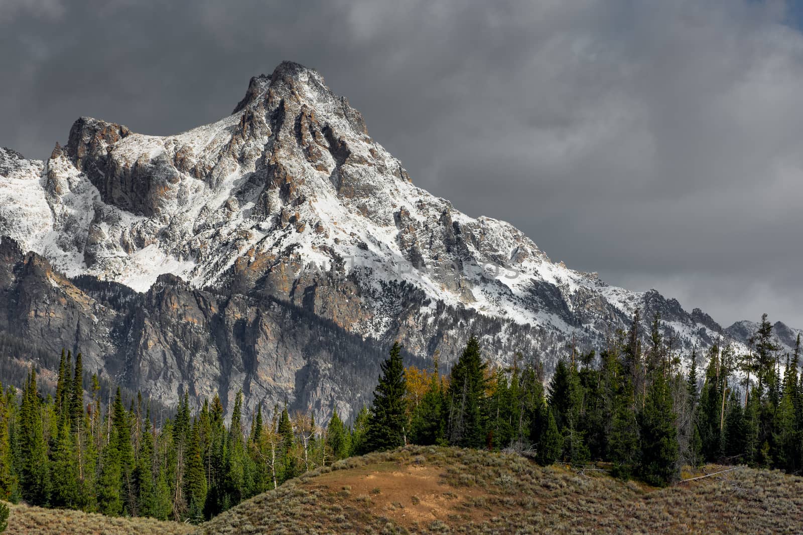 Scenic View of the Grand Teton National Park by phil_bird