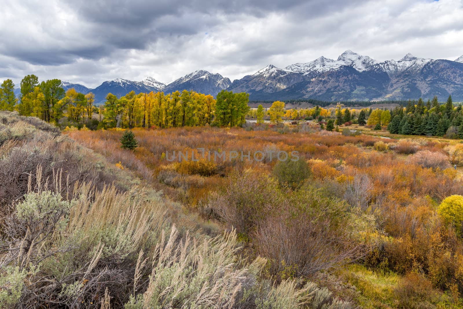 Scenic View of the Grand Teton National Park by phil_bird