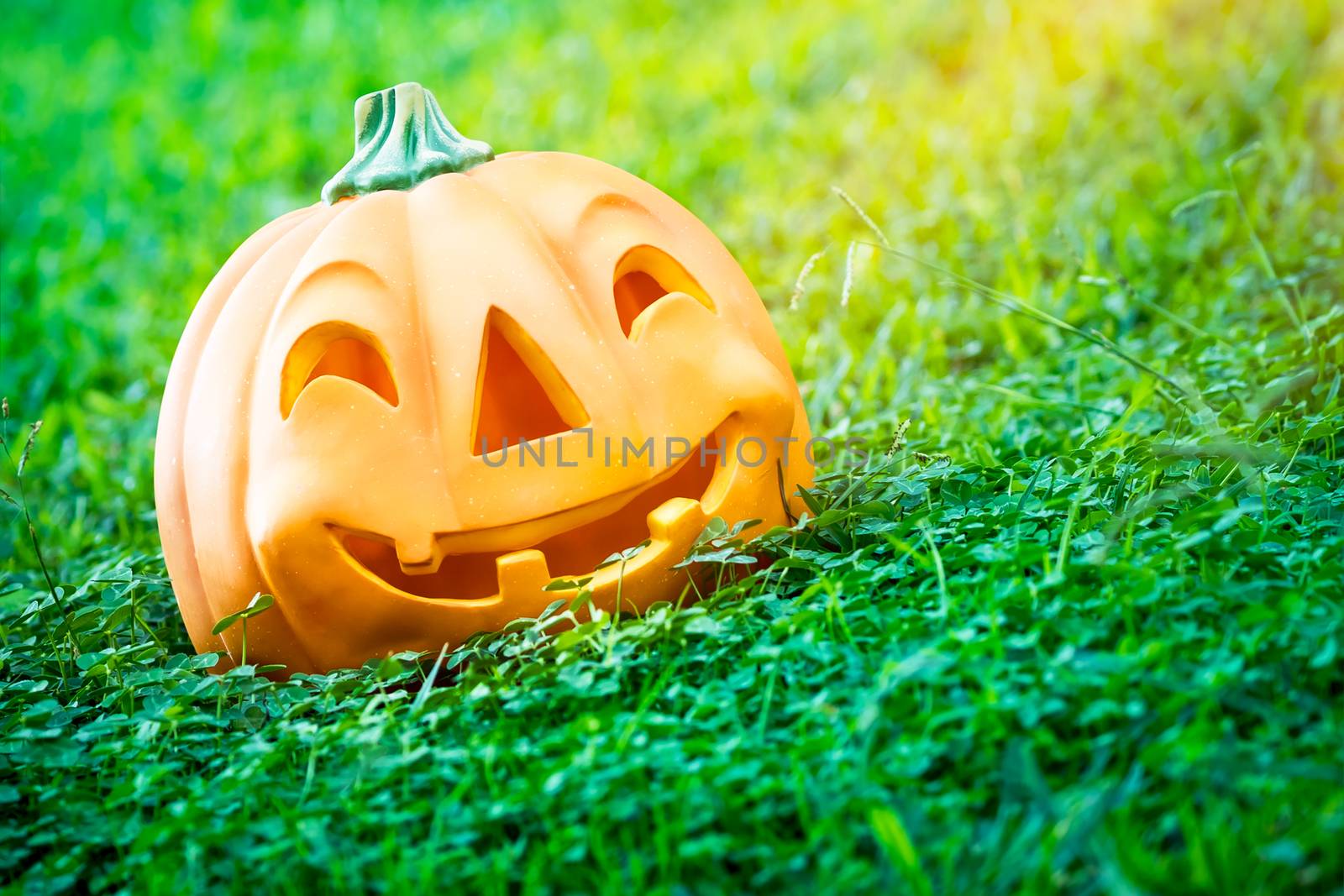 Halloween pumpkin by Anna_Omelchenko