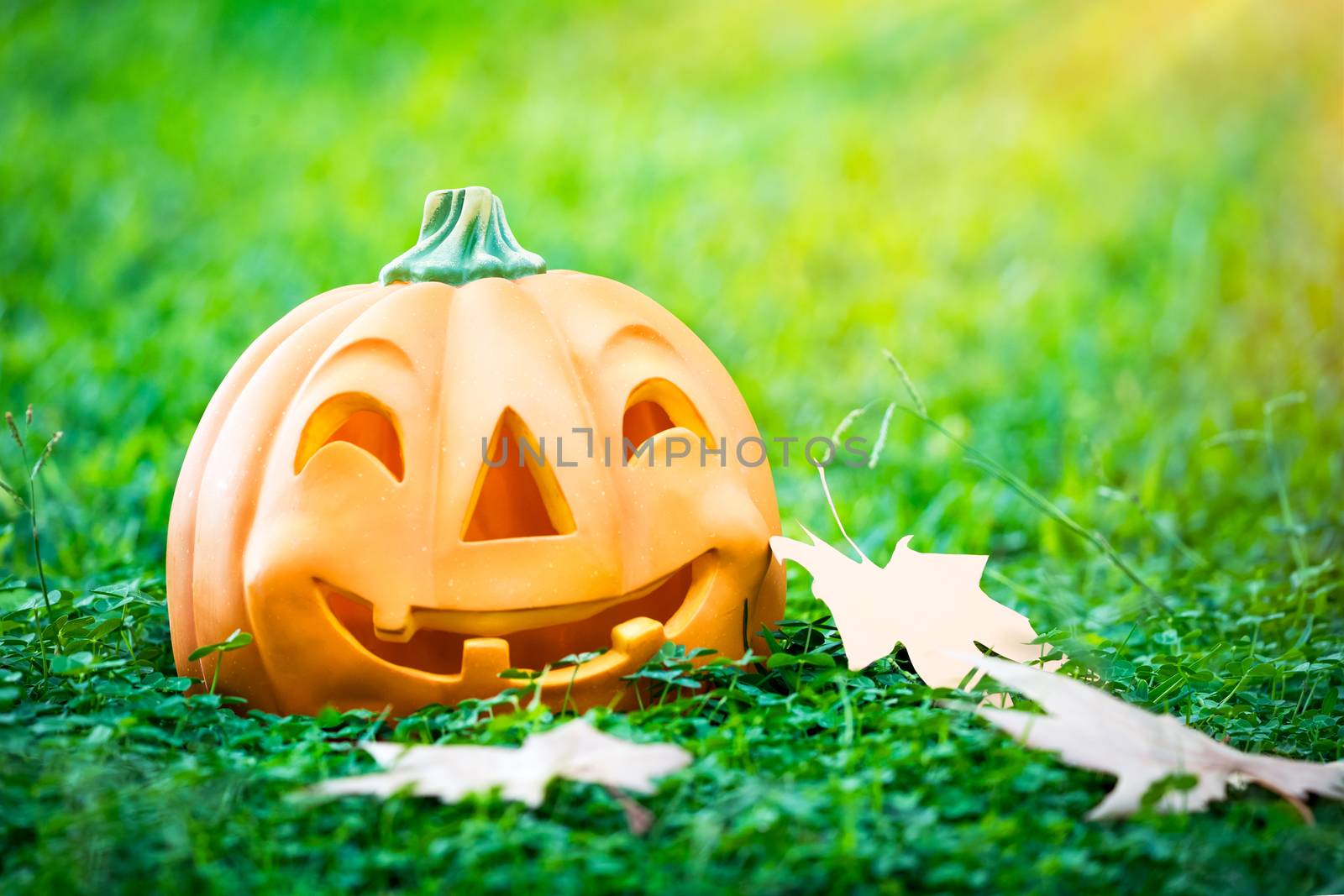 Happy Halloween holiday by Anna_Omelchenko