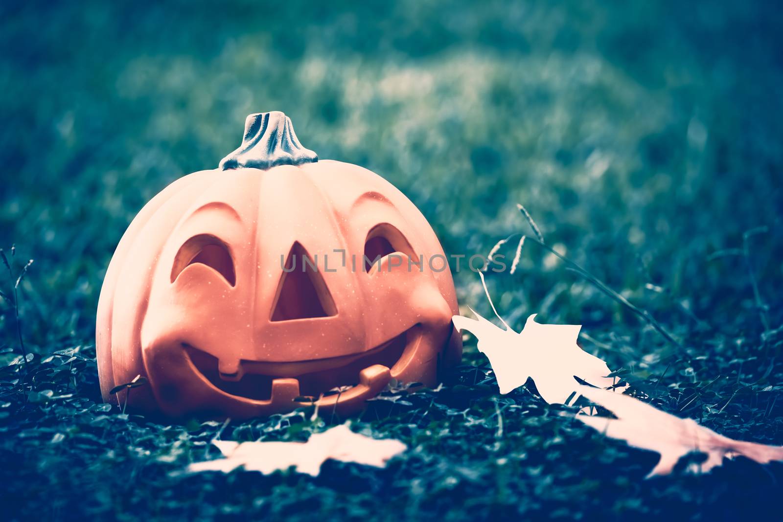 Halloween pumpkin in the forest by Anna_Omelchenko
