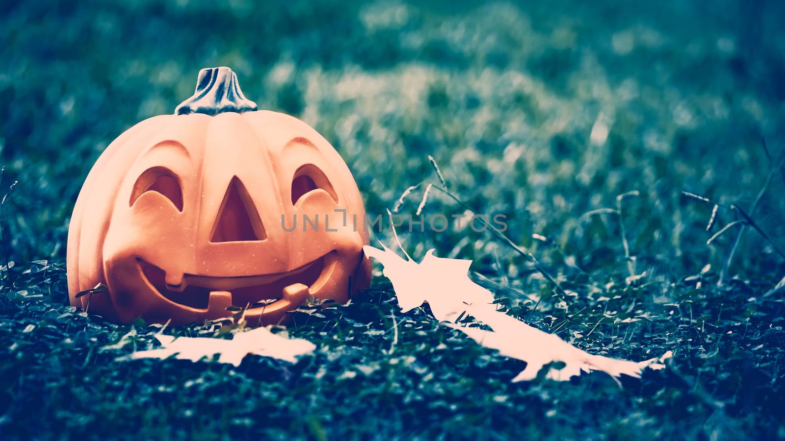 Halloween pumpkin in the forest by Anna_Omelchenko