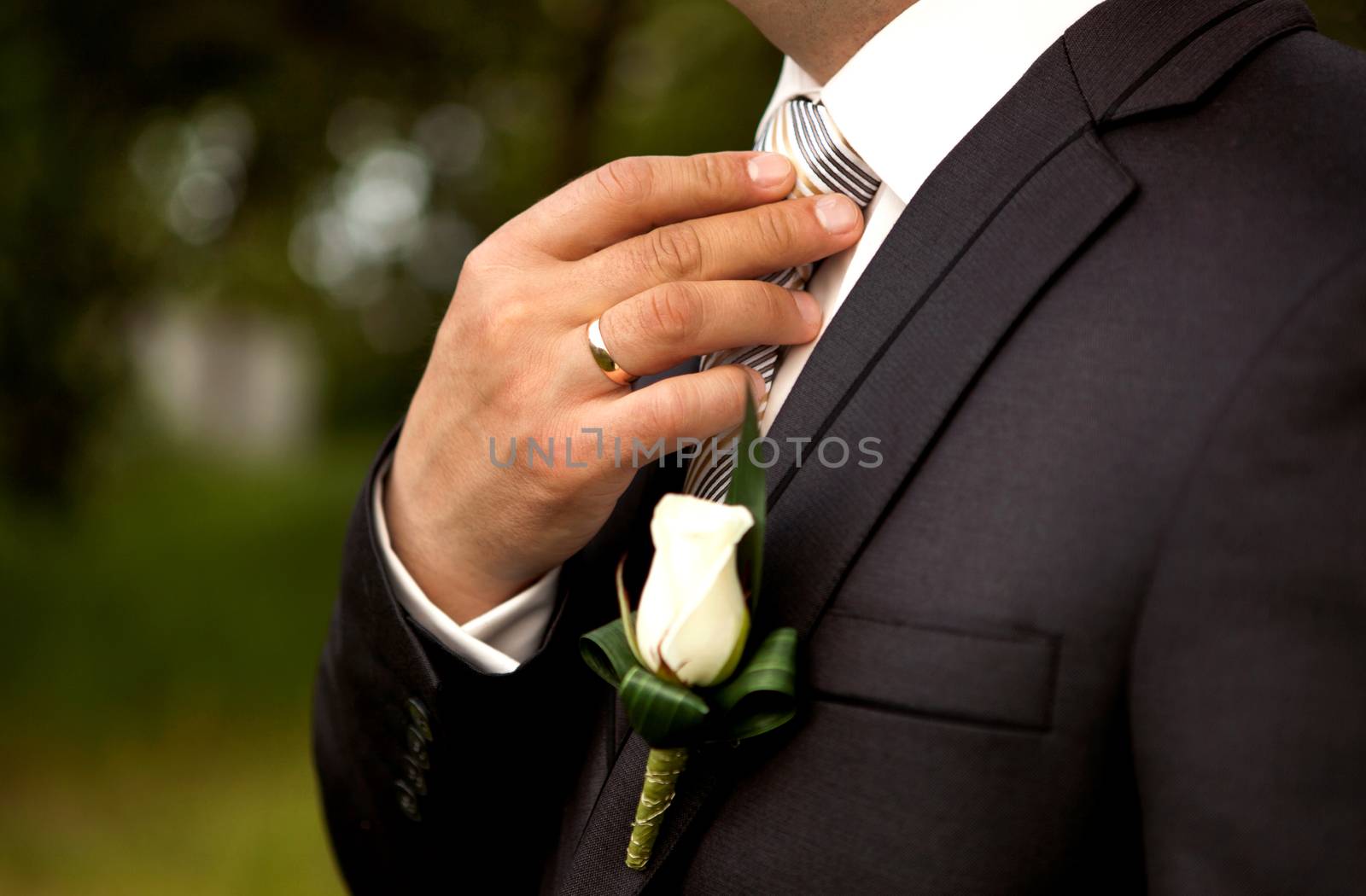 The groom in a suit, corrects a tie with his hand. by sermax55