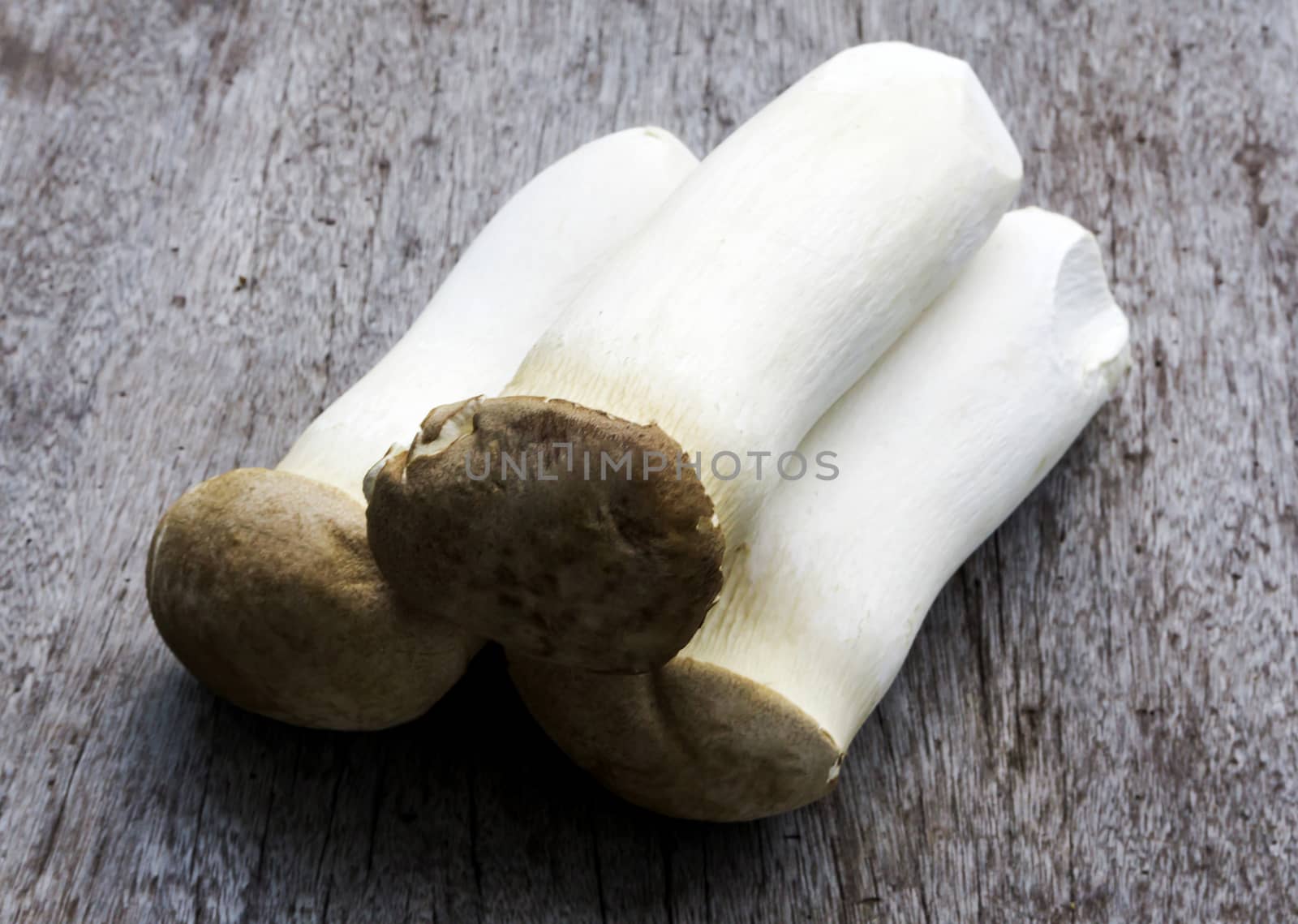 Fresh orinji mushroom on wooden background, raw food concept