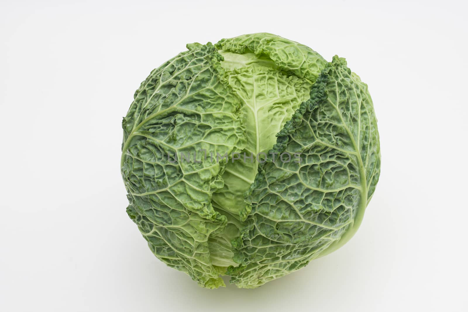 Green savoy cabbage on white background