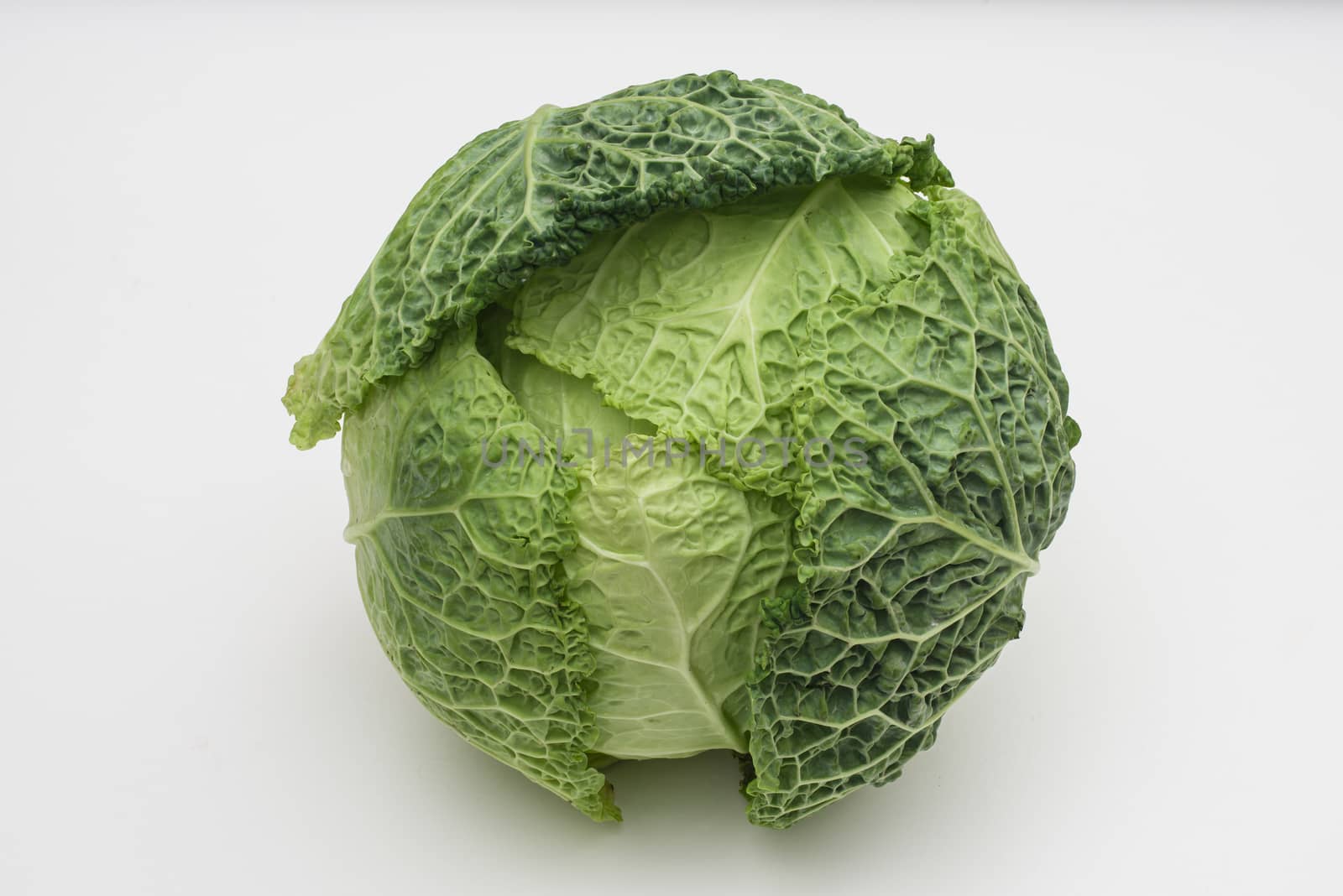 Green savoy cabbage on white background