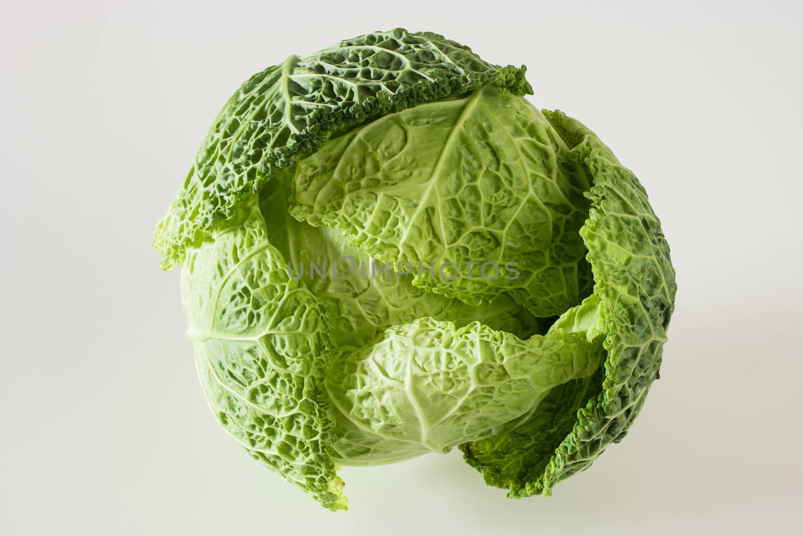 Green savoy cabbage on white background