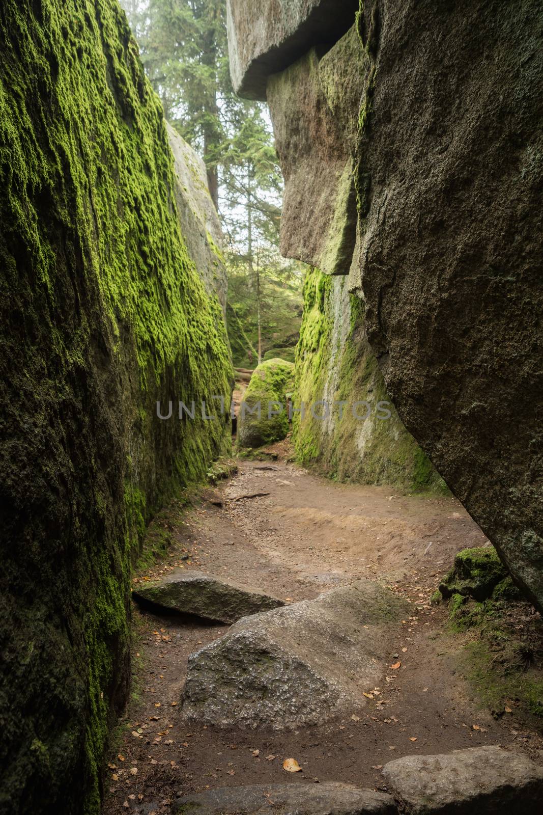 Huge rocks in the forest