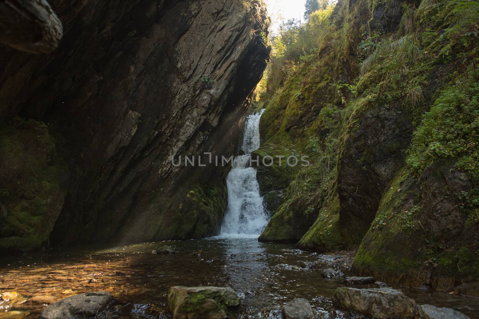 Small hidden waterfall in the forest in the crevice of a small rock