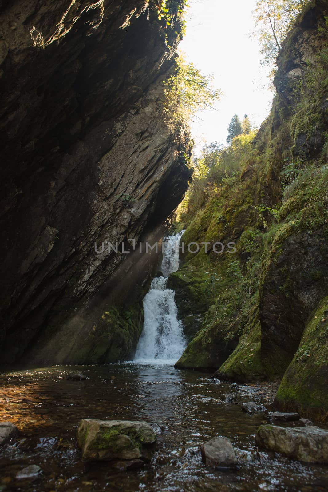 Small hidden waterfall in the forest in the crevice of a small rock