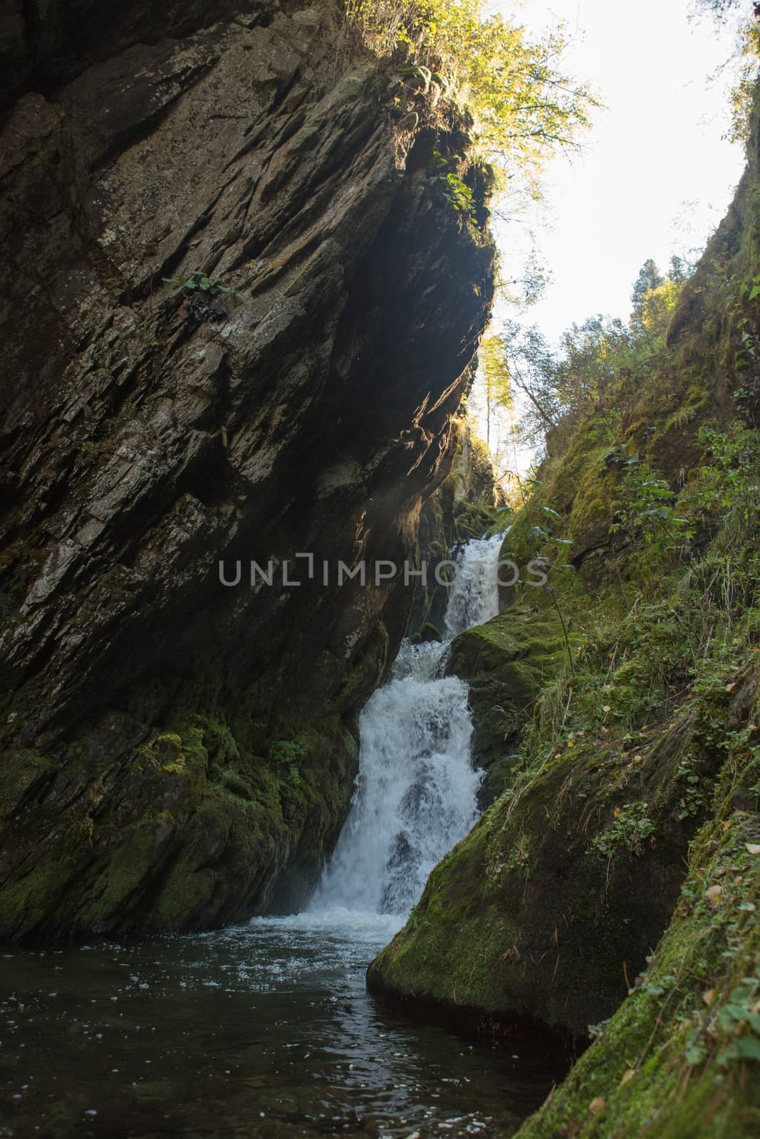 Small hidden waterfall in the forest in the crevice of a small rock