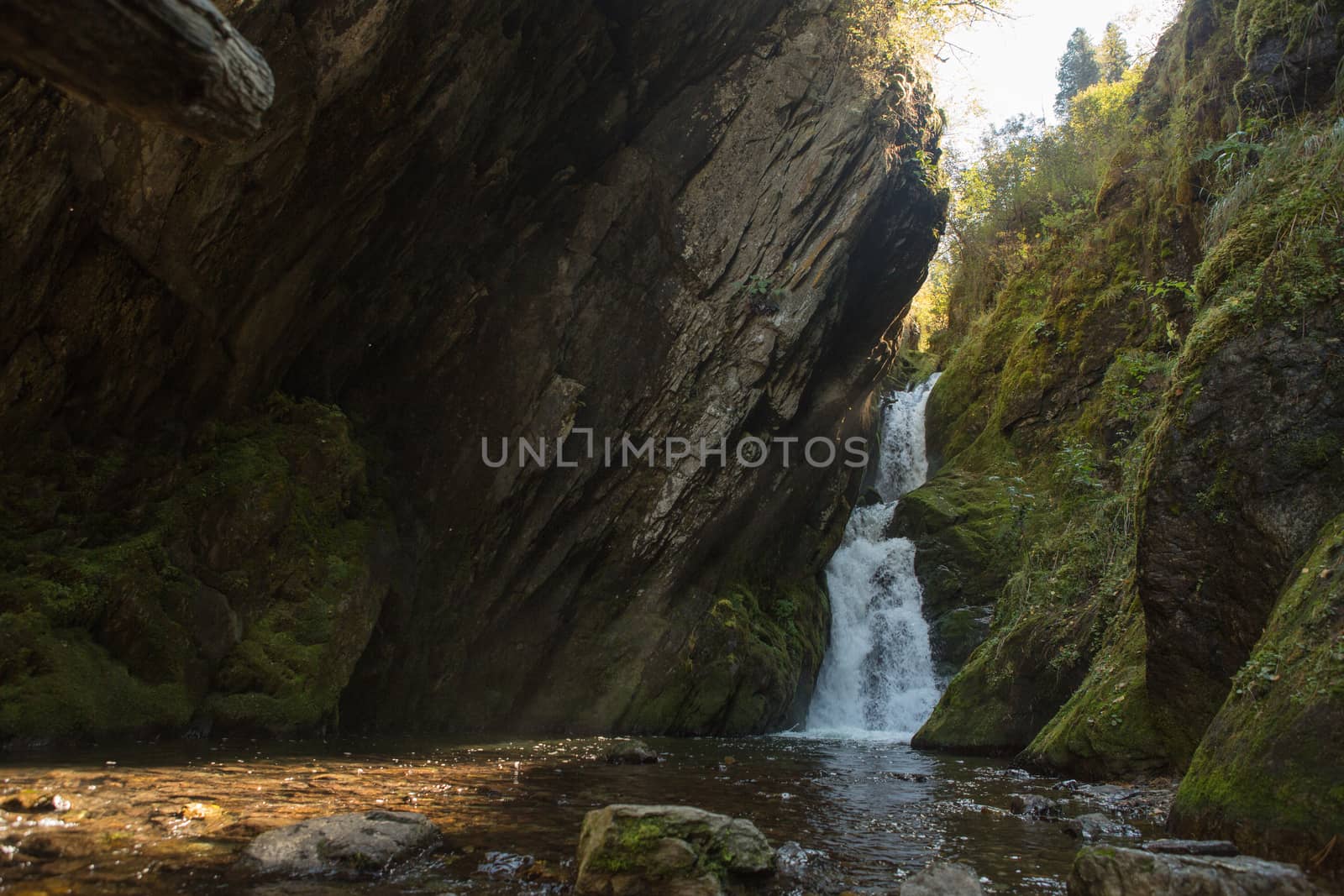 Small hidden waterfall in the forest in the crevice of a small rock