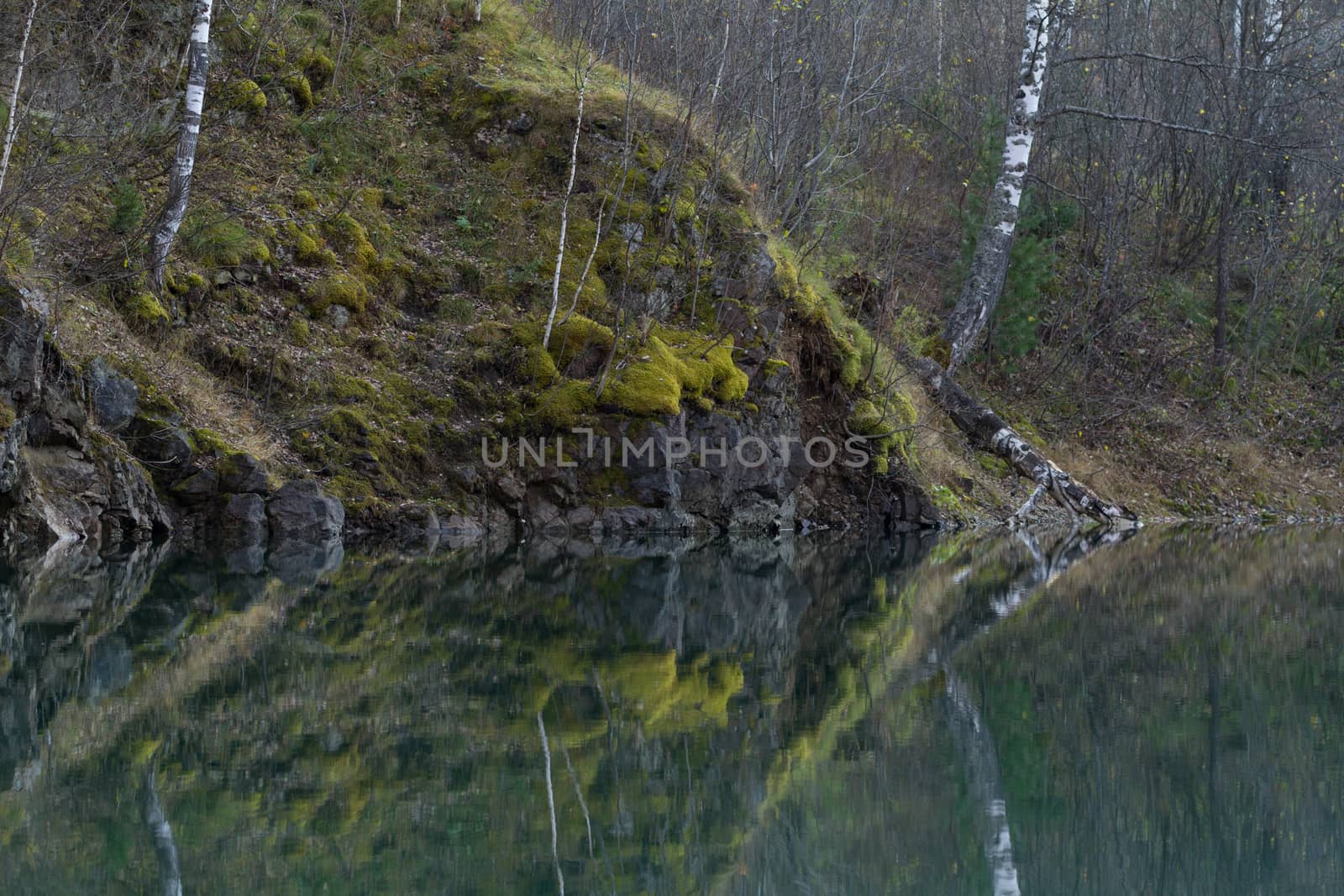 the reflection of the shore and trees in the blue lake in autumn