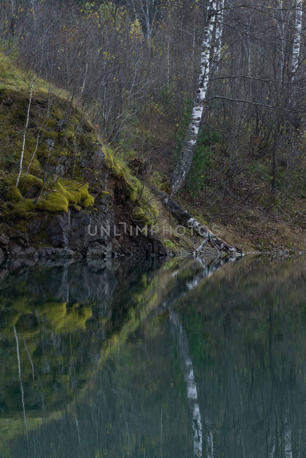 the reflection of the shore and trees in the blue lake in autumn