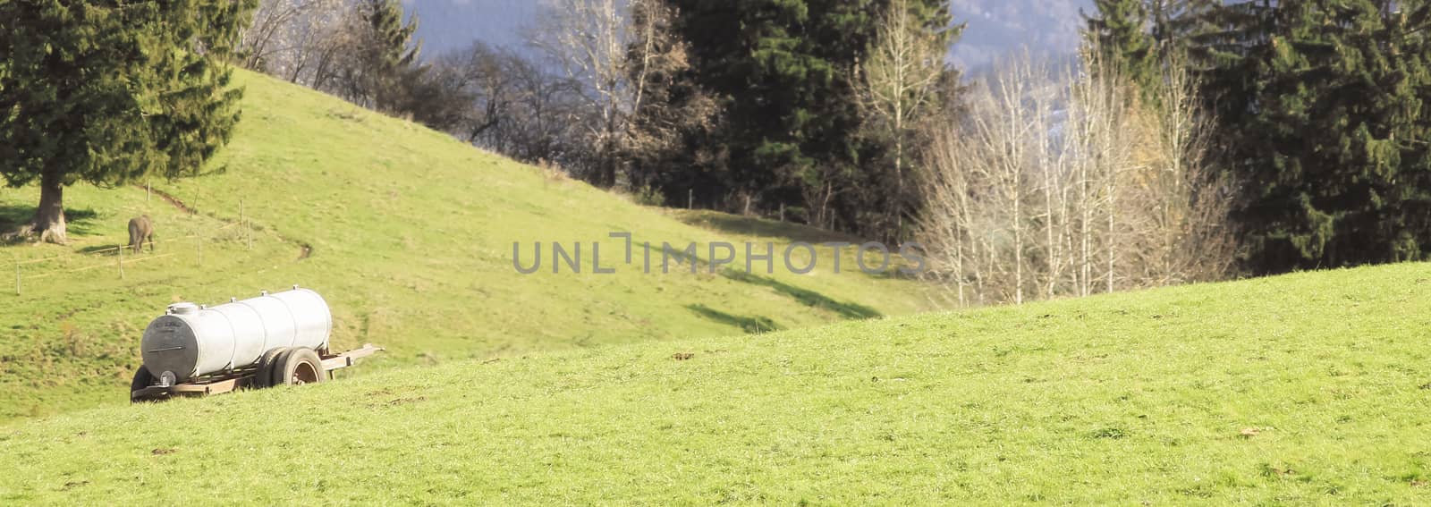 Panorama of a green meadow