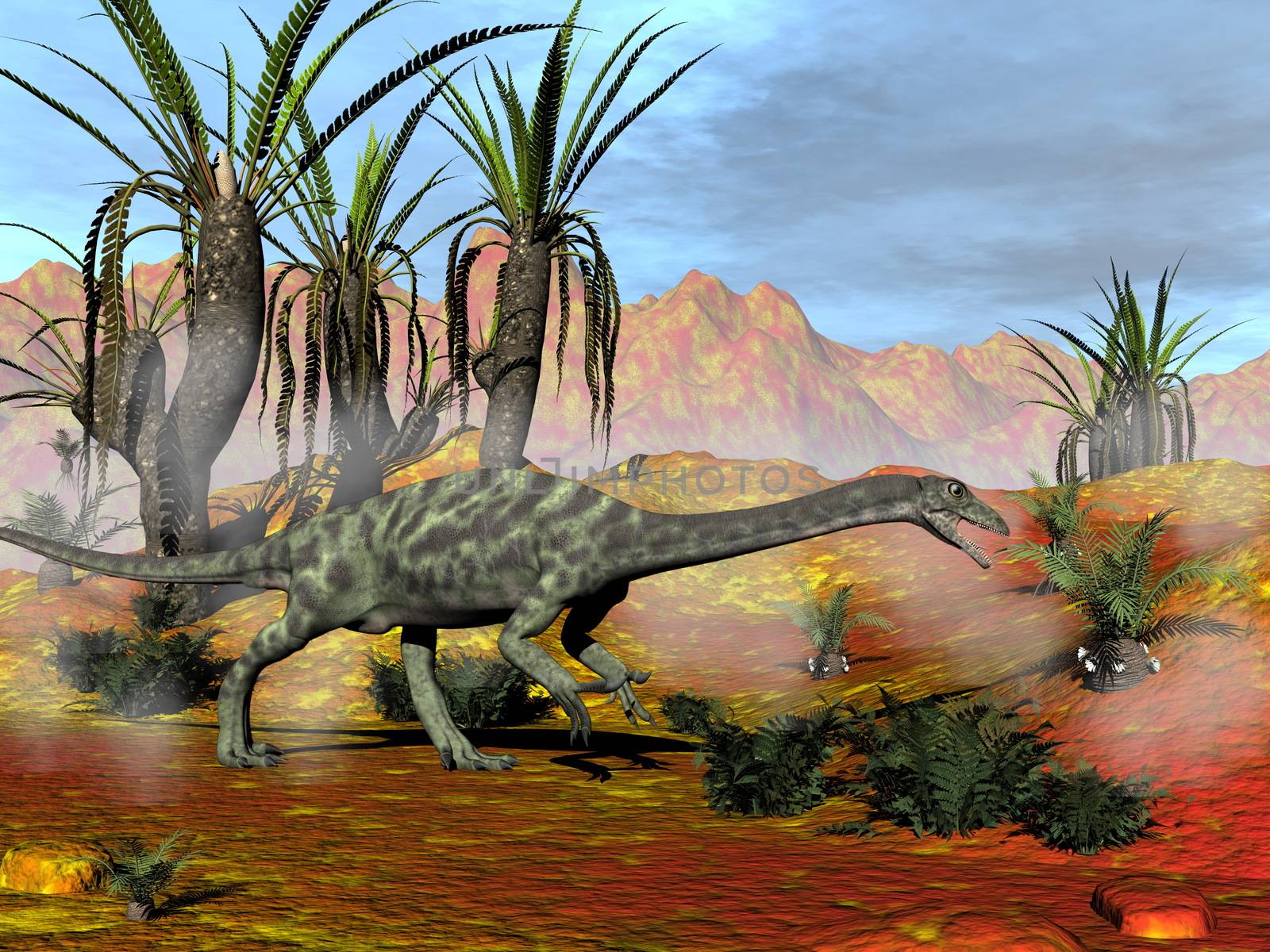 One anchisaurus dinosaureating a cycad in red desert - 3D render