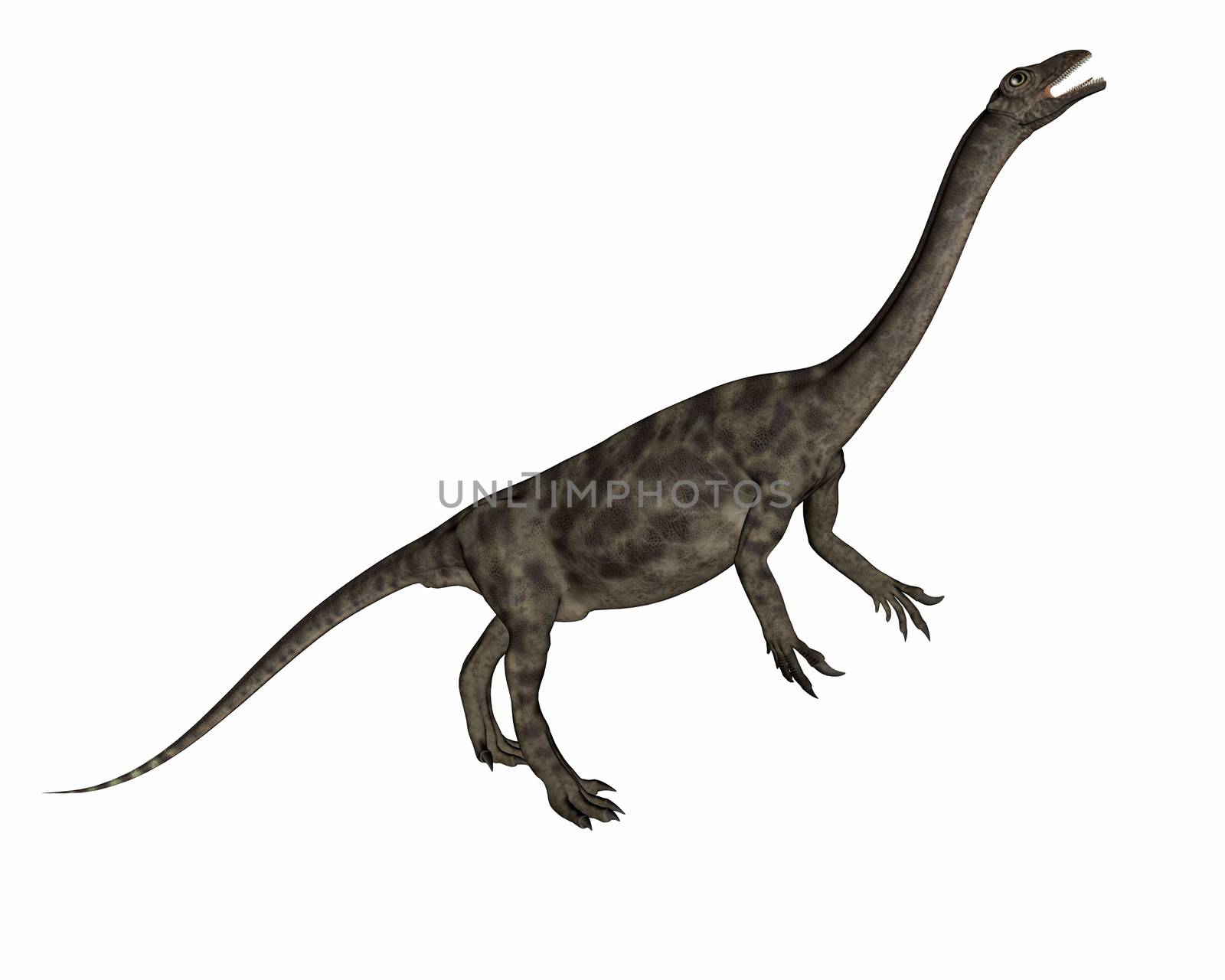 Anchisaurus dinosaur eating isolated in white background -3D render