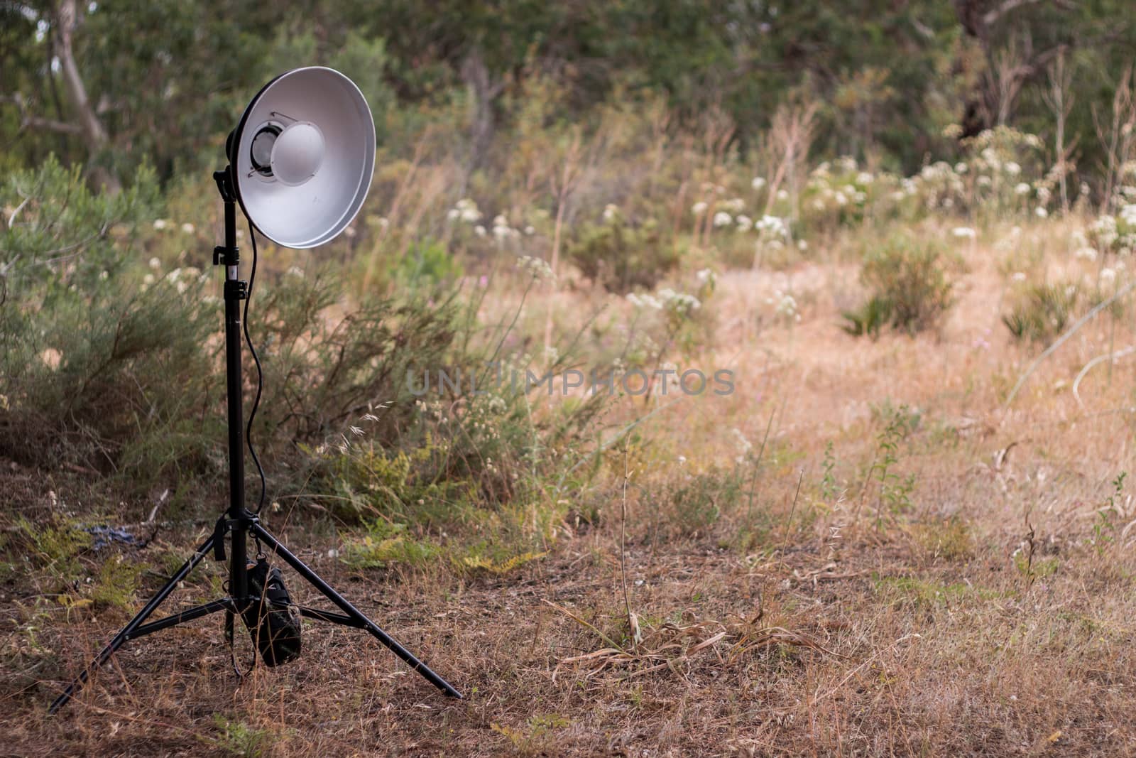 Tripod with flash head on a beauty dish in nature.