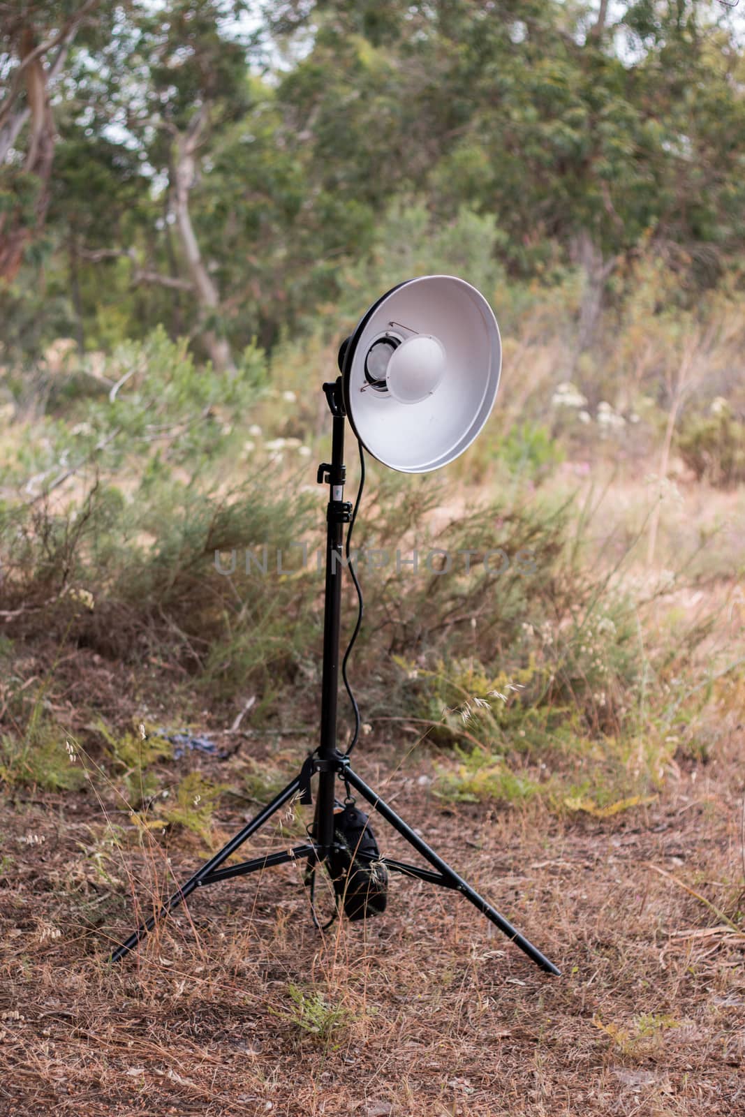 Tripod with flash head on a beauty dish in nature.