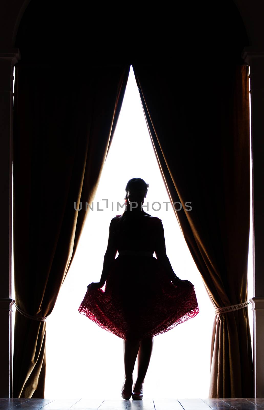 Silhouette of pinup girl by membio