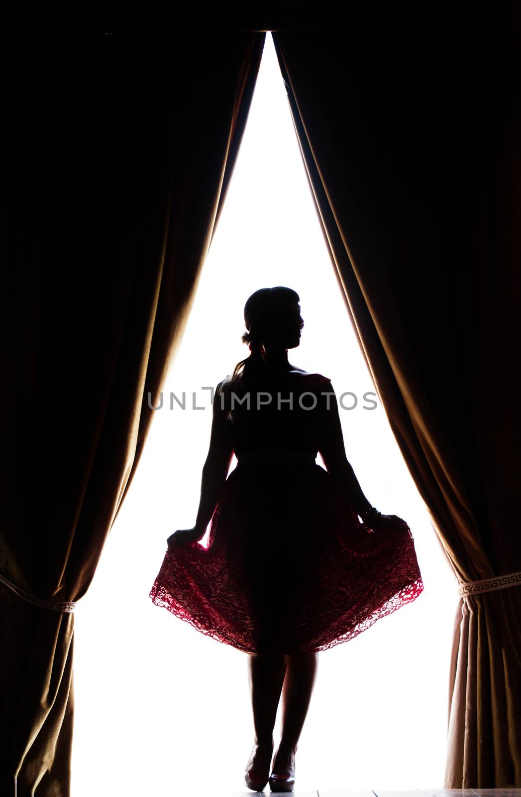 Silhouette of pinup girl by membio