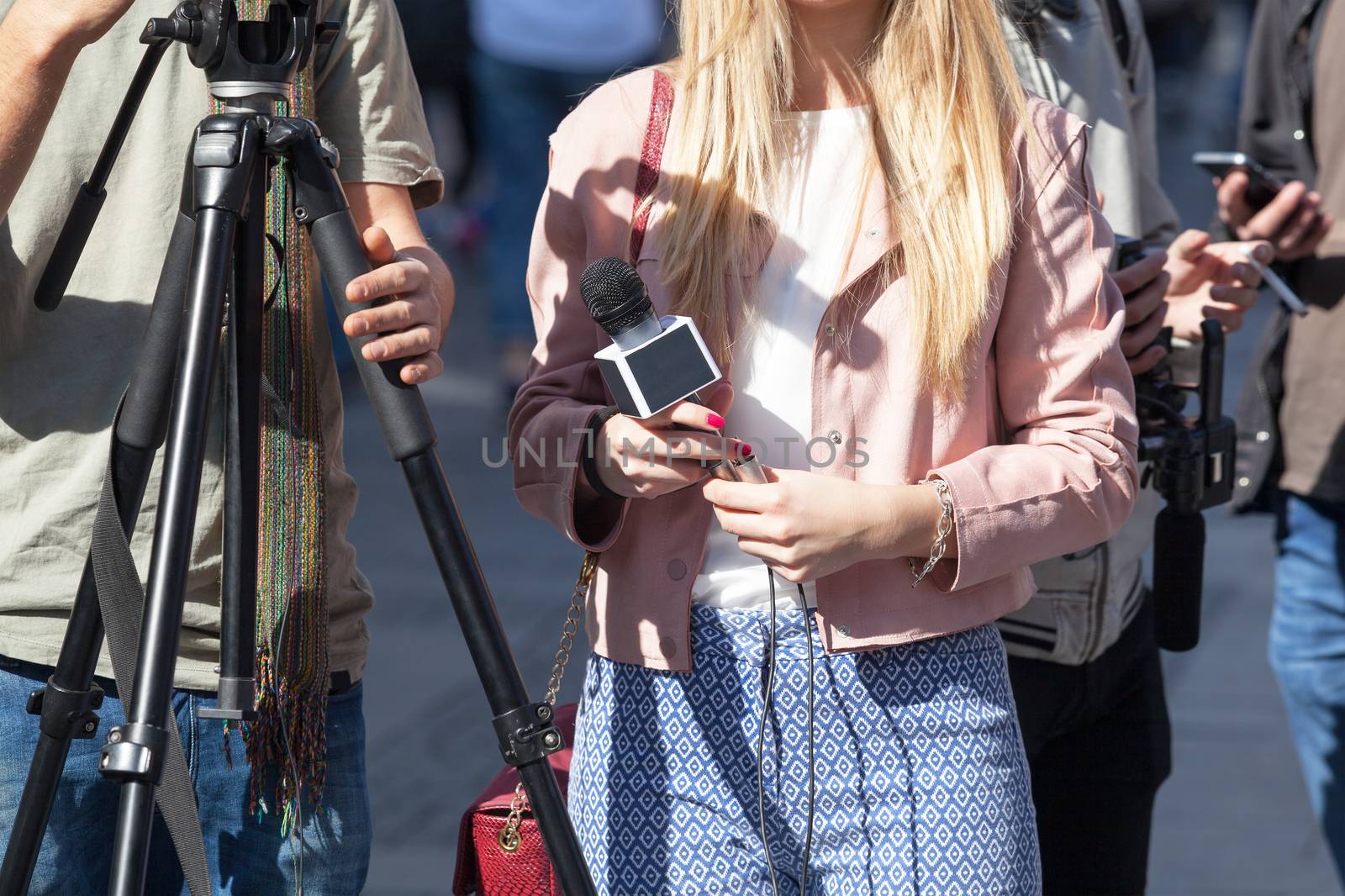 Journalist. News conference. by wellphoto