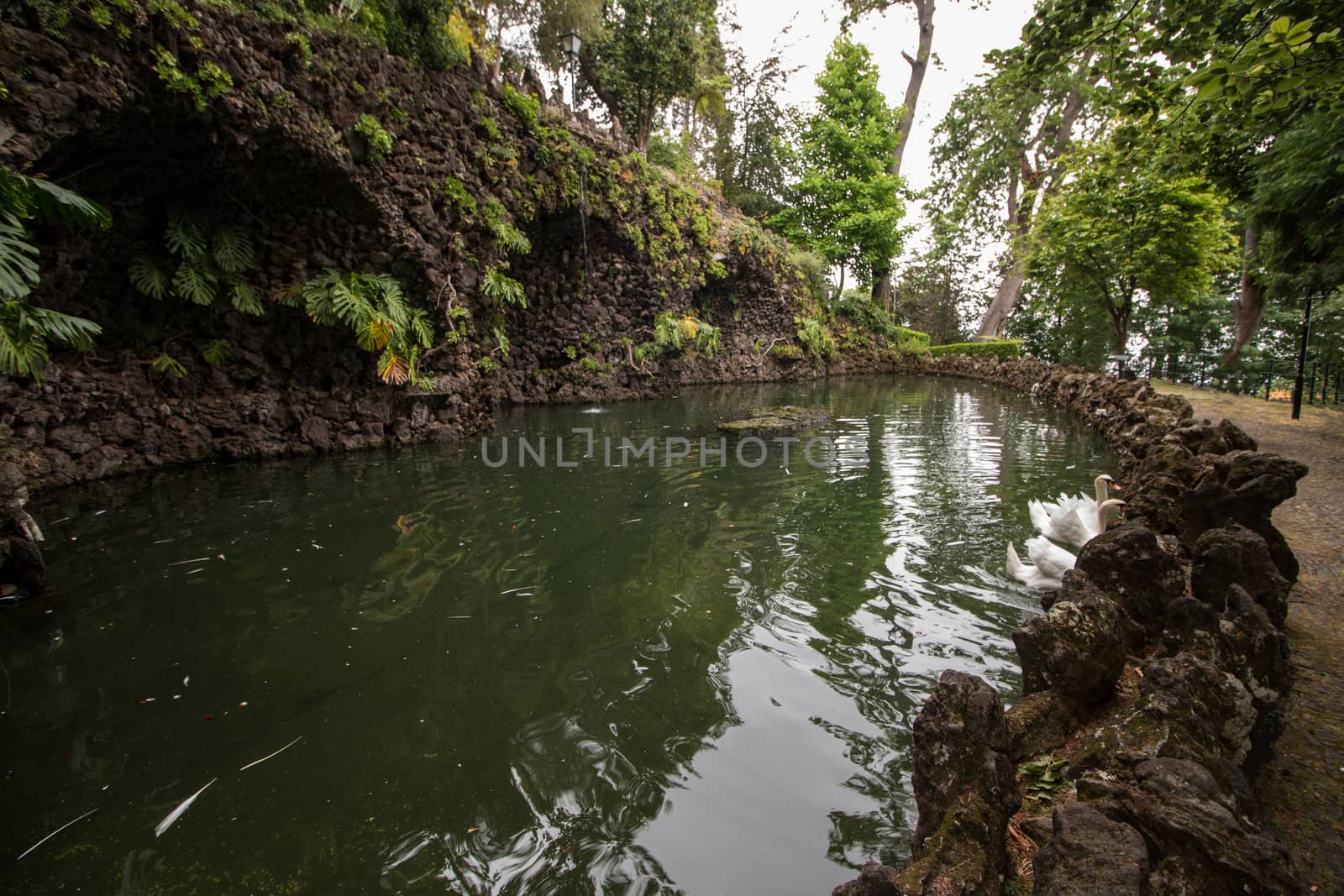Tropical garden Monte Palace, located in Funchal city, Madeira island, Portugal.
