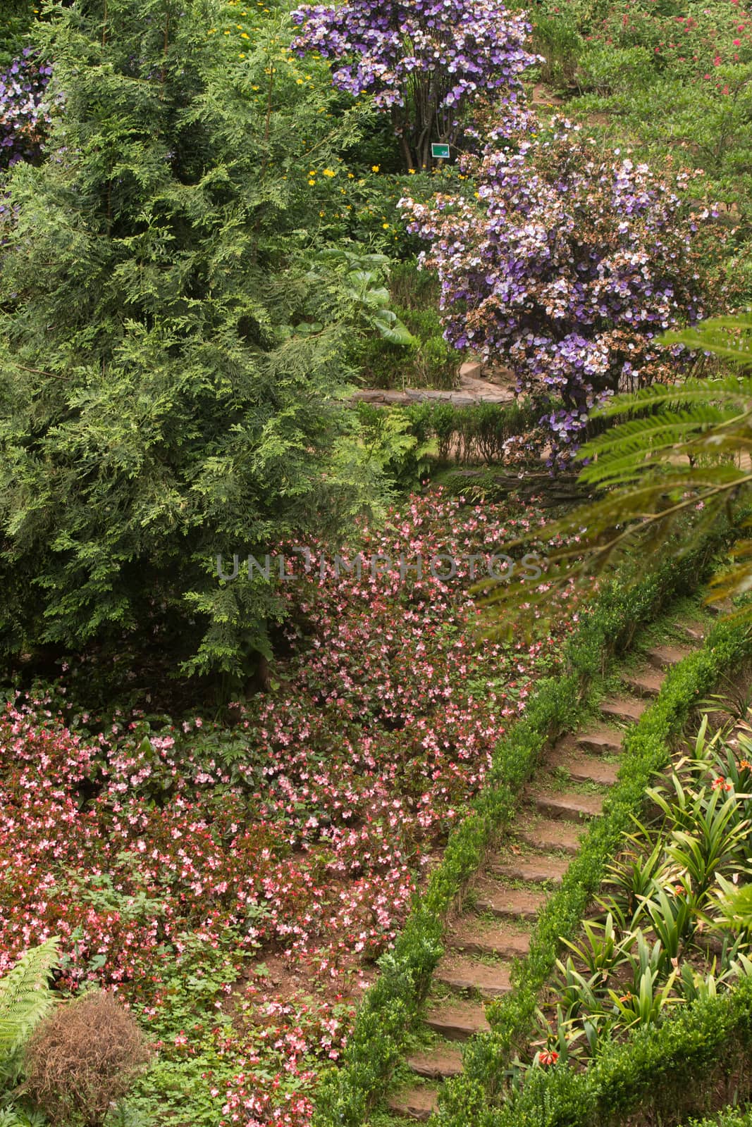 Tropical garden Monte Palace, located in Funchal city, Madeira island, Portugal.
