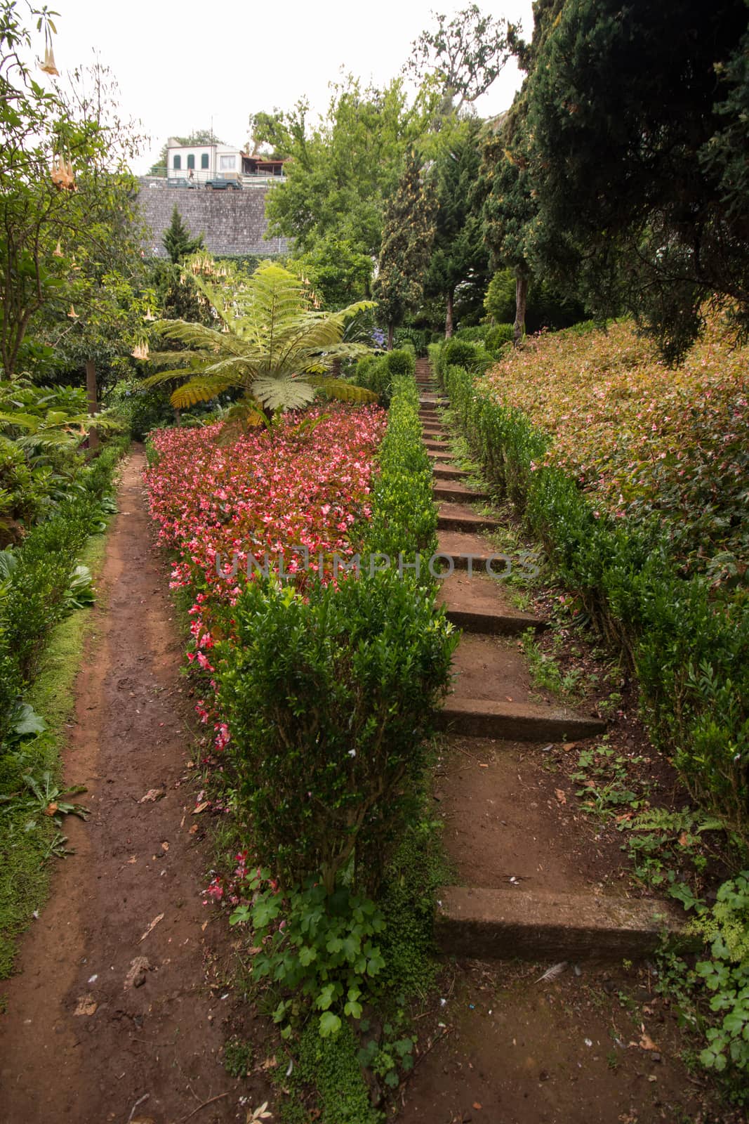 Tropical garden Monte Palace, located in Funchal city, Madeira island, Portugal.