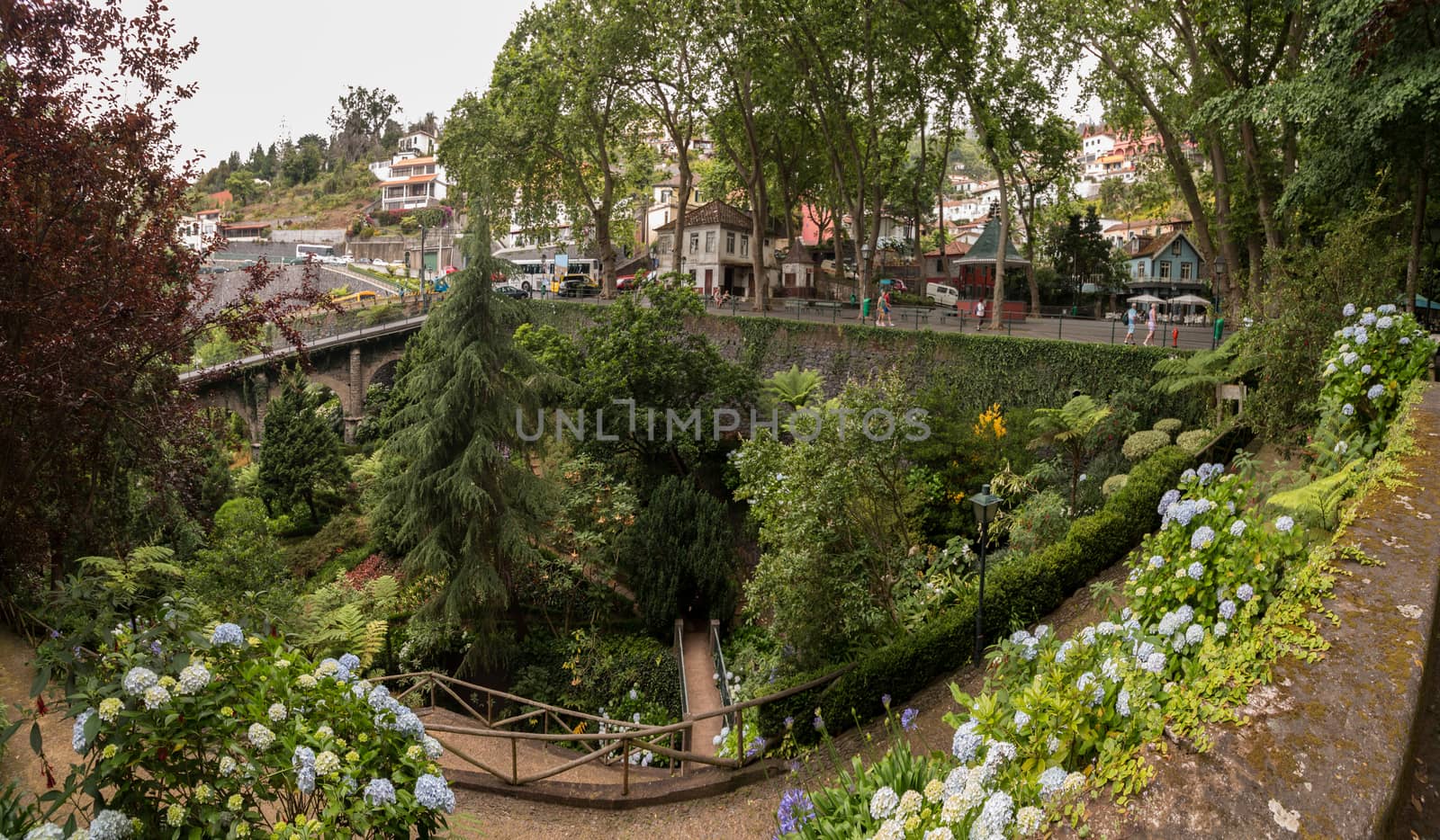 Tropical garden Monte Palace, located in Funchal city, Madeira island, Portugal.