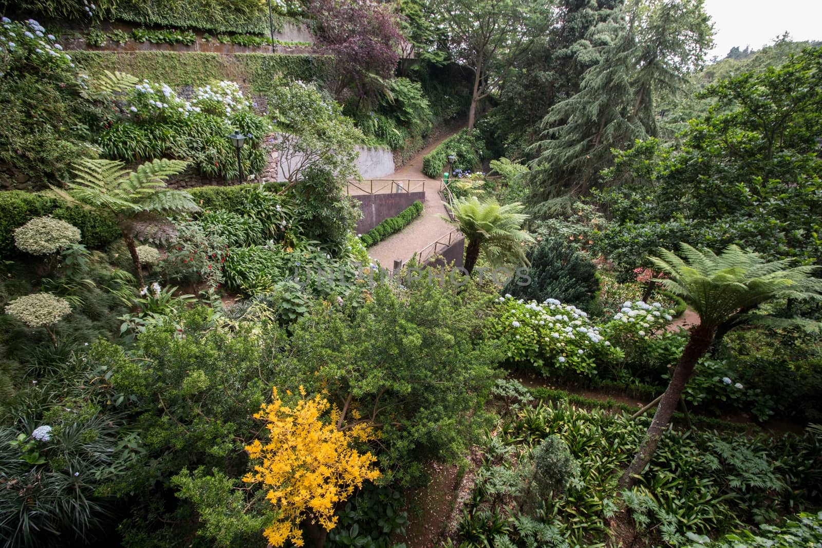 Tropical garden Monte Palace, located in Funchal city, Madeira island, Portugal.