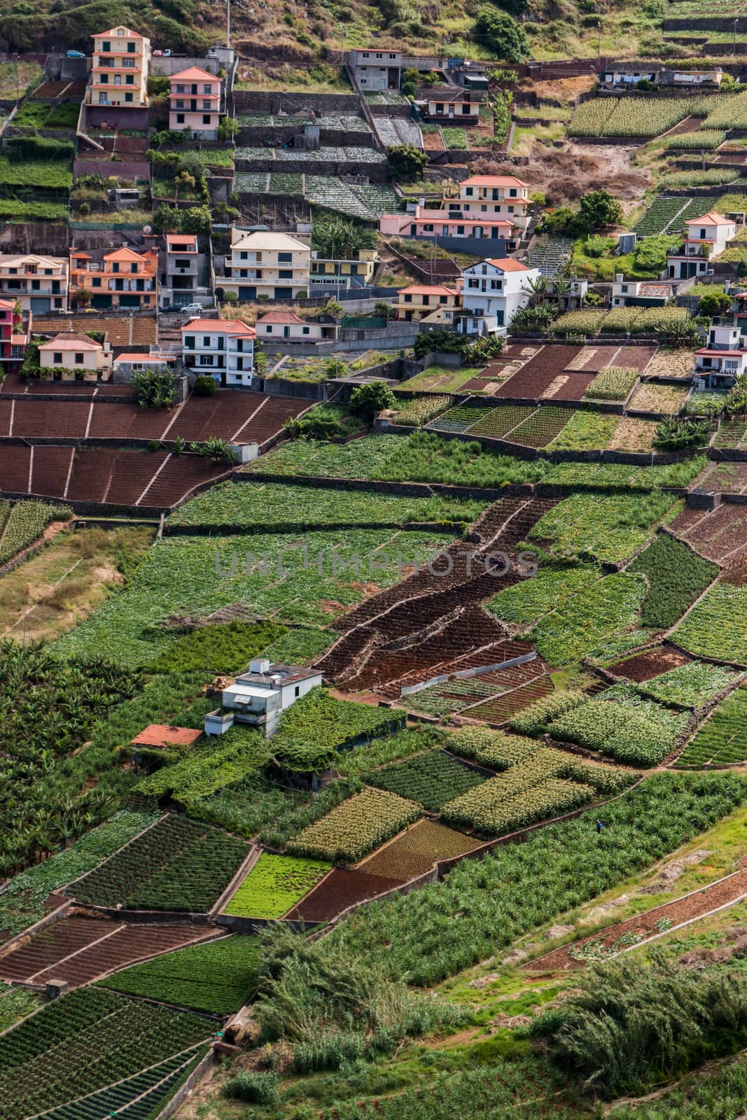 View of small farmland lots viewed from above.