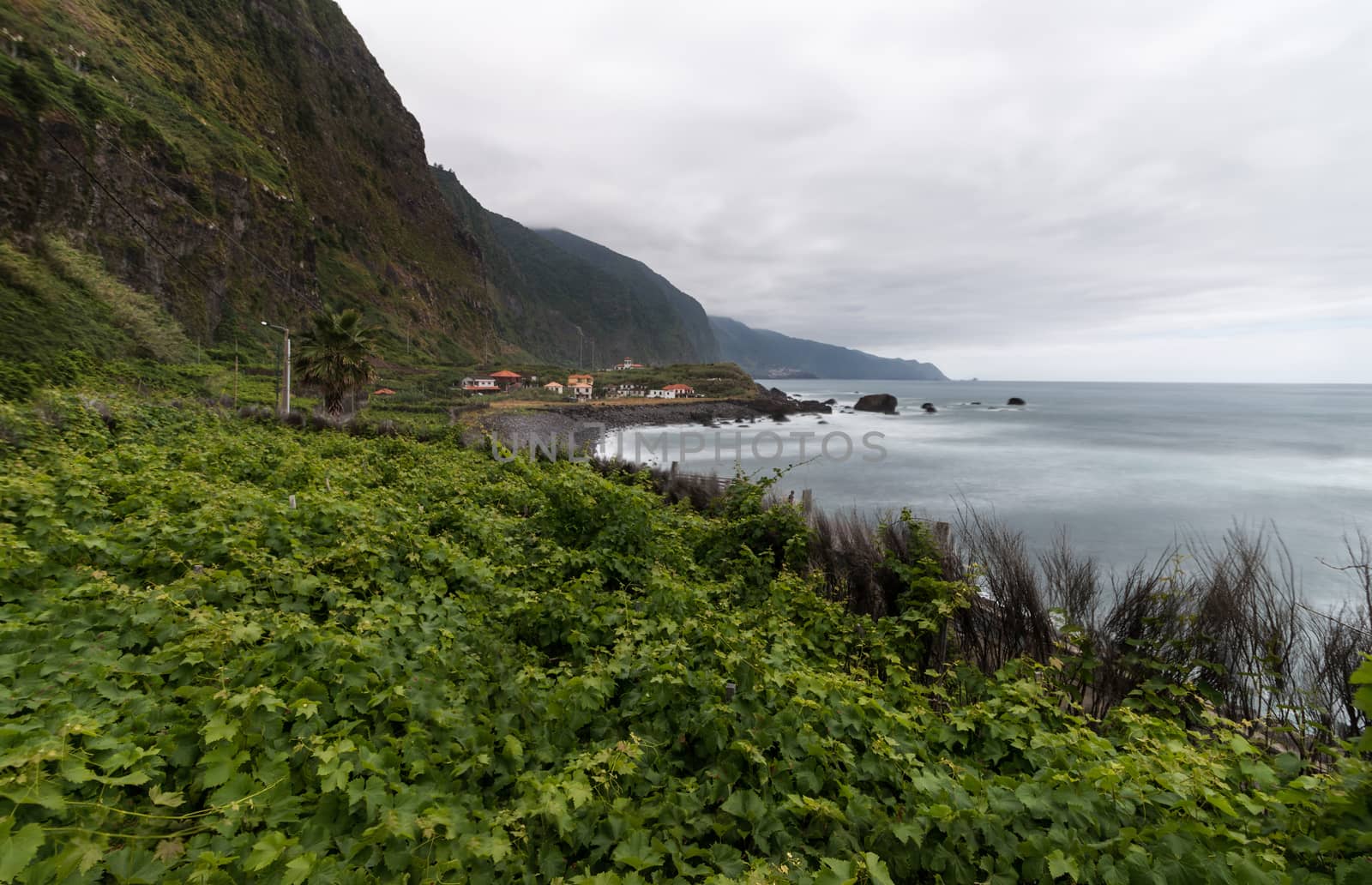 View of a vineyard plantations in madeira island.